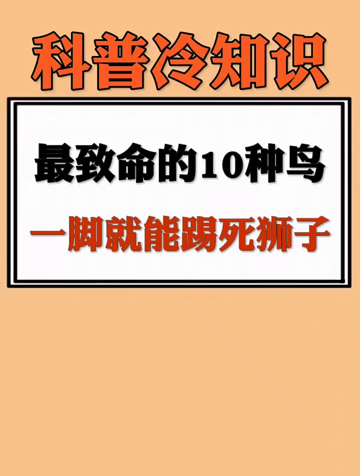 最致命的十种鸟,一脚就能踢死狮子