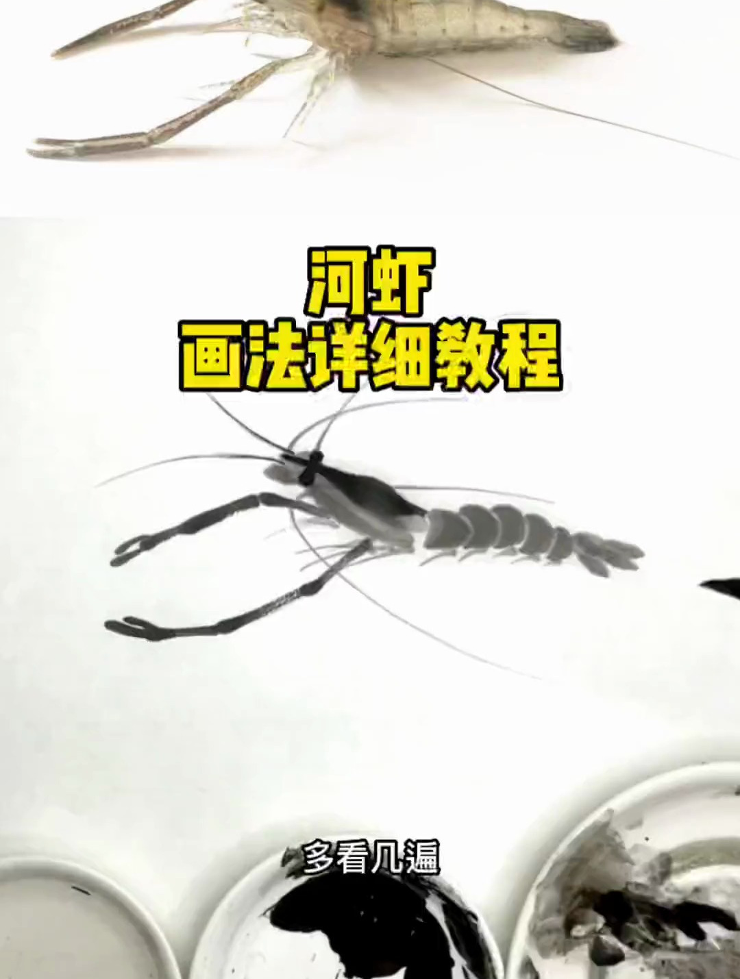 国画河虾画法详细教程