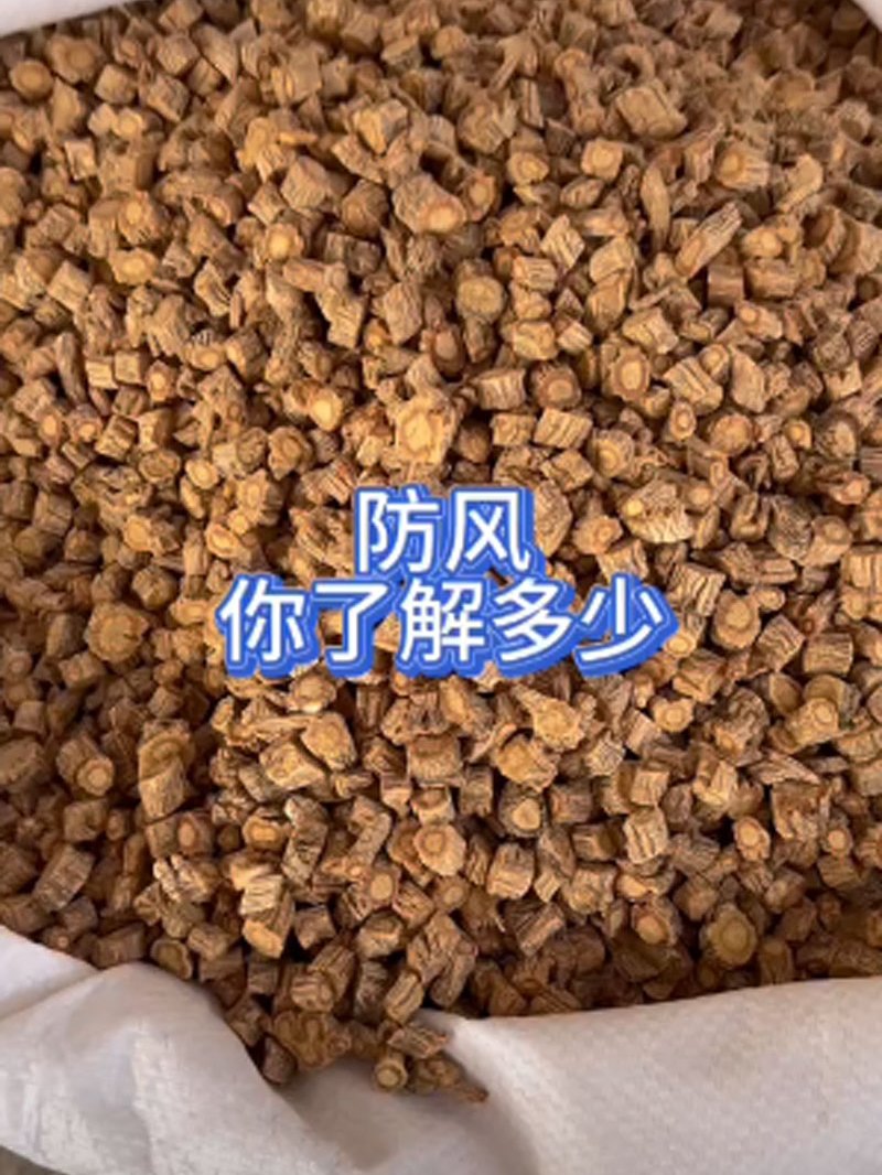 防风,你了解多少