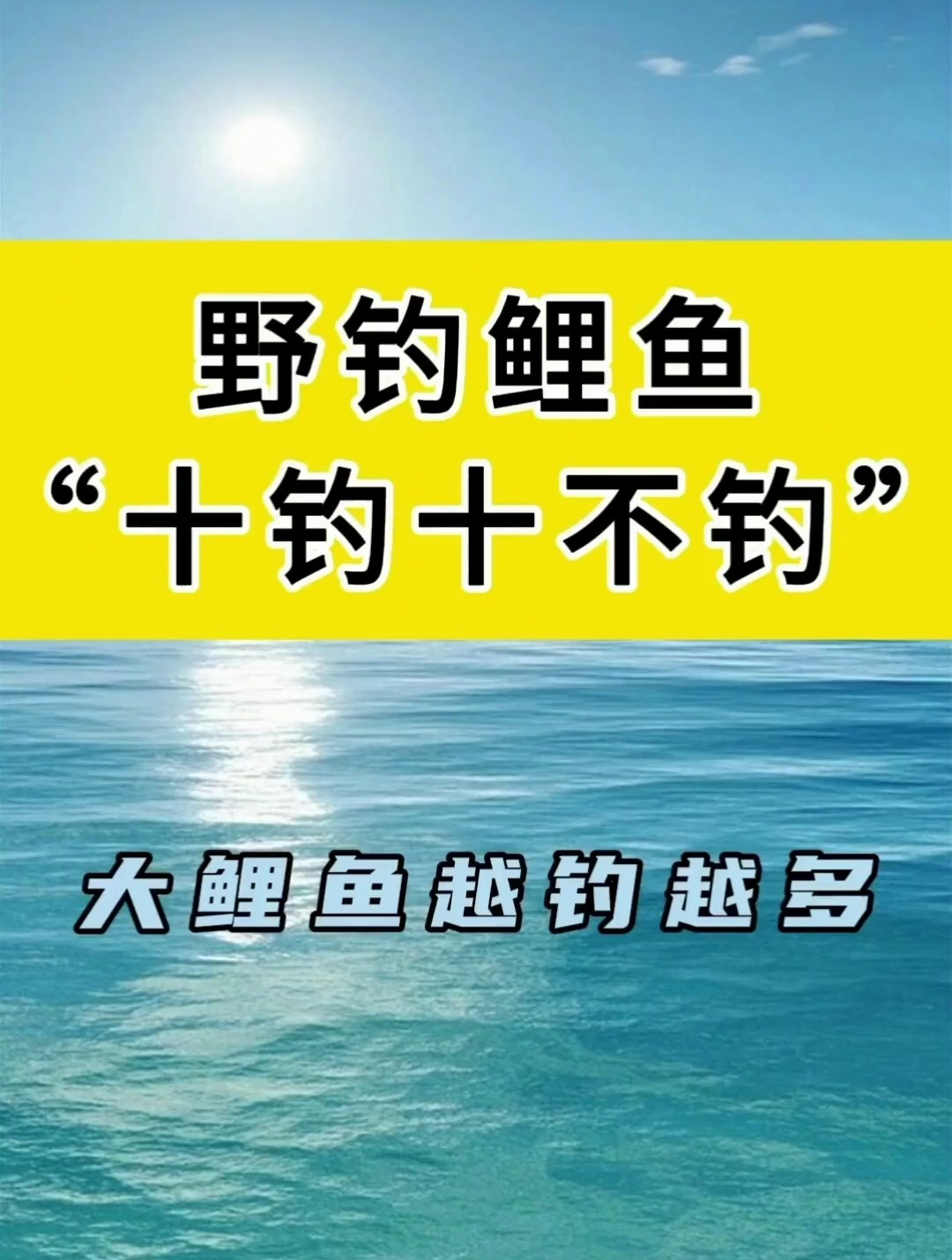 野钓鲤鱼的十钓十不钓?大鲤鱼越钓越多!