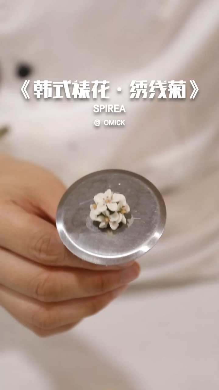 韩式裱花教程系列!如何制作绣线菊!