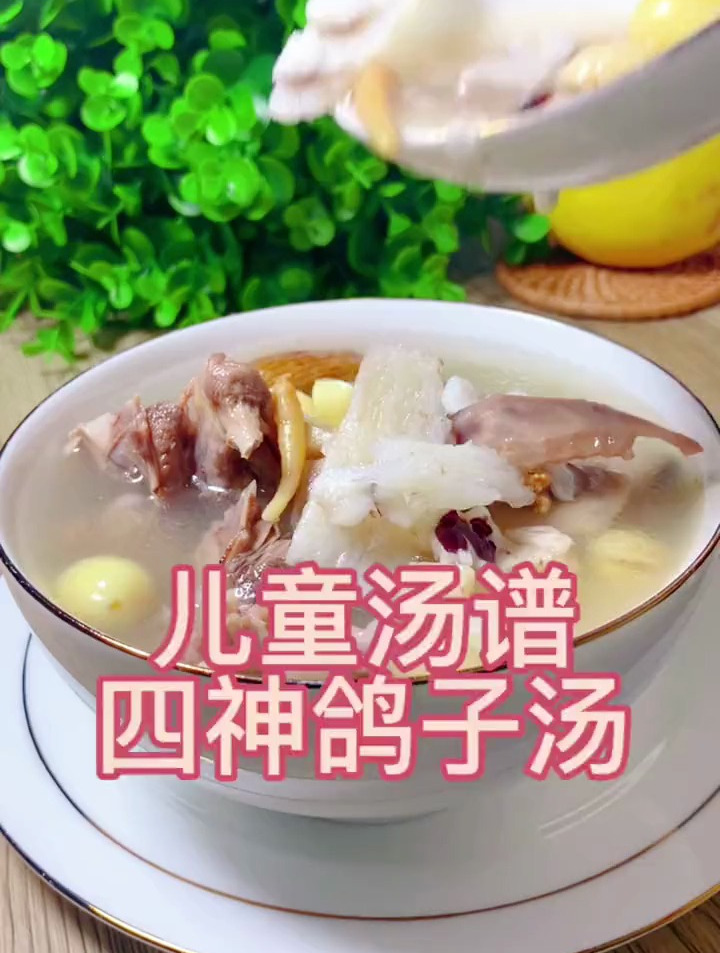 儿童汤谱 四神鸽子汤
