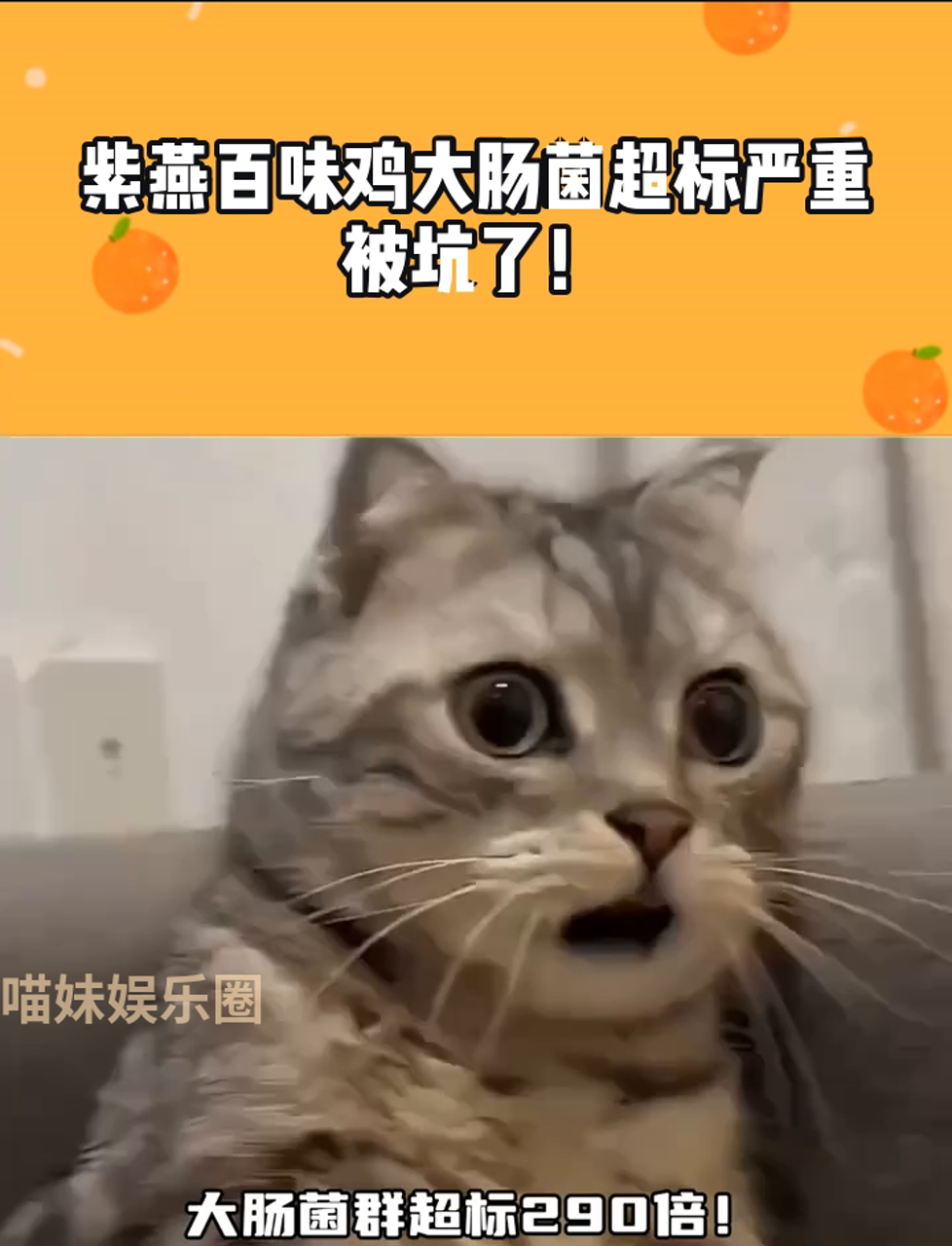 紫燕百味鸡大肠菌超标严重,被坑了!