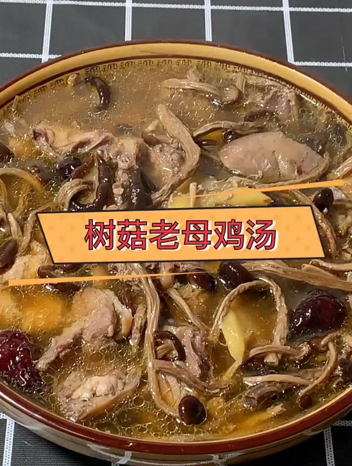 树菇老母鸡汤