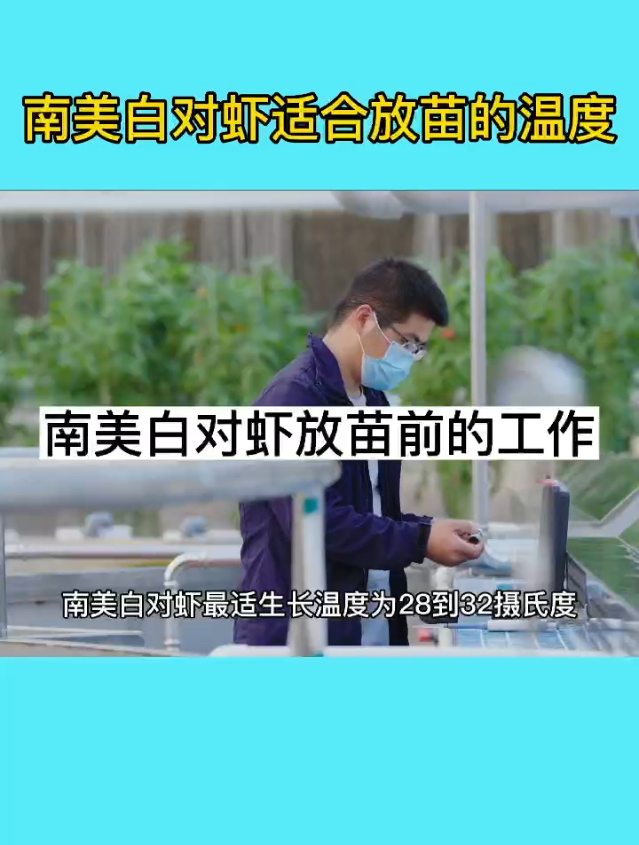 南美白对虾放苗前需要注意什么?