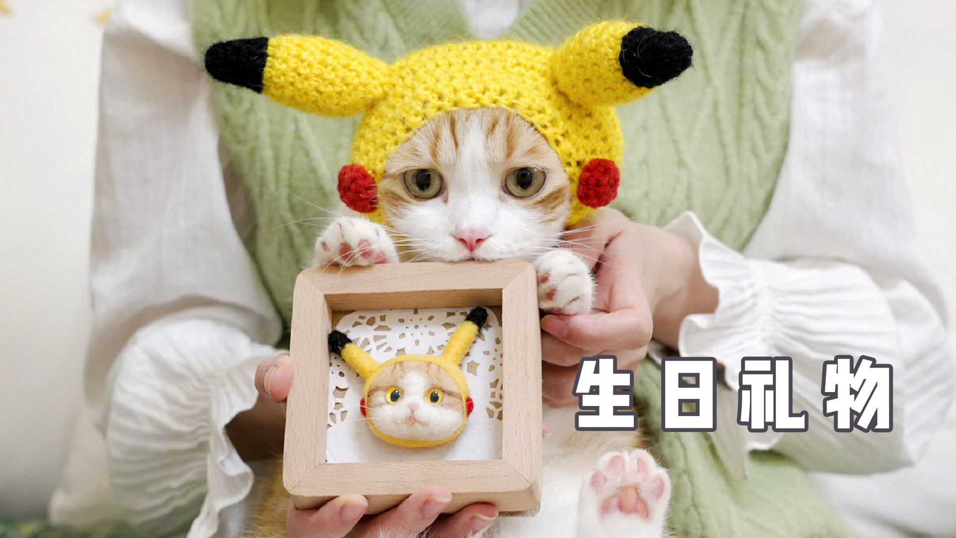 猪皮猫生日,把猪头撸秃做成毛毡礼物,兄弟们我做的对吗?