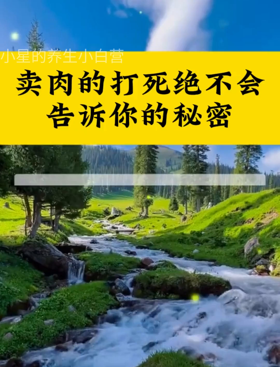 猪肉上的章都有啥讲究?你了解吗?