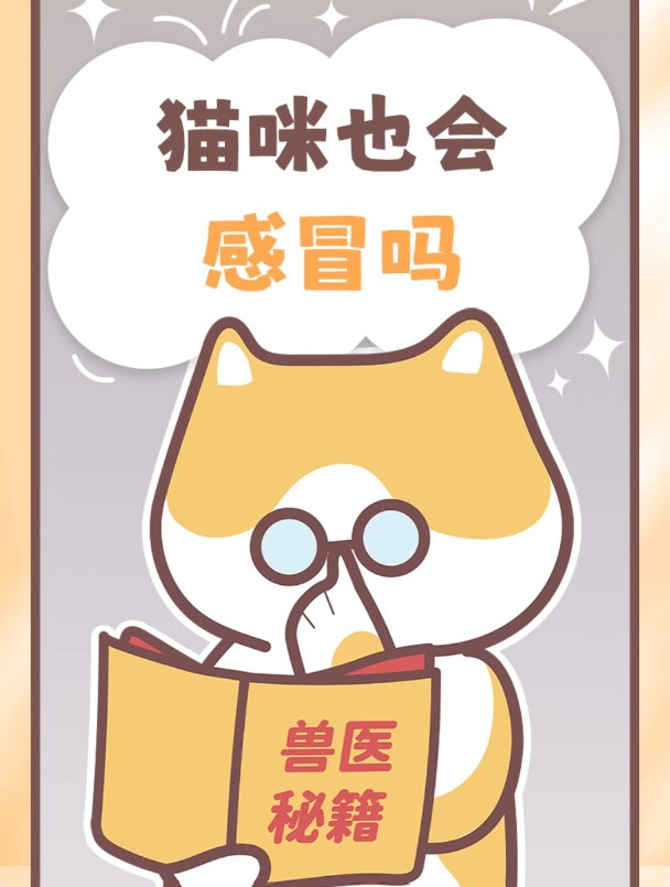 猫咪其实也会“感冒”,出现这些症状要小心了
