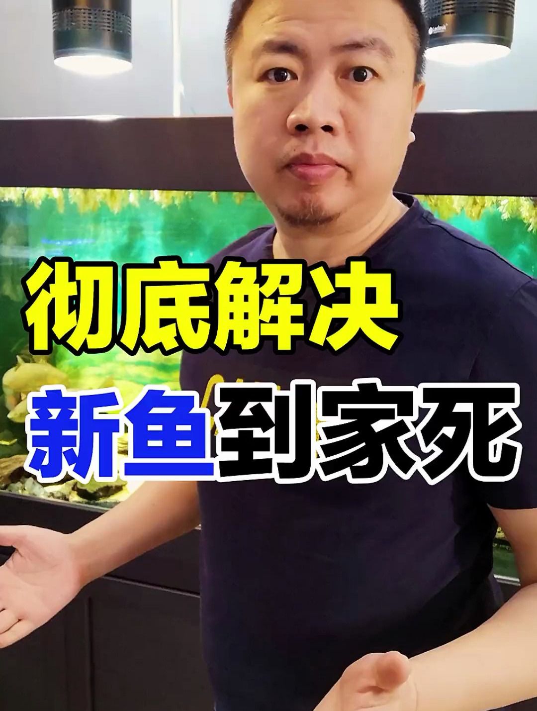 养鱼新手看过来 最头疼的买鱼养不活问题 讲下根本原因和解决办法