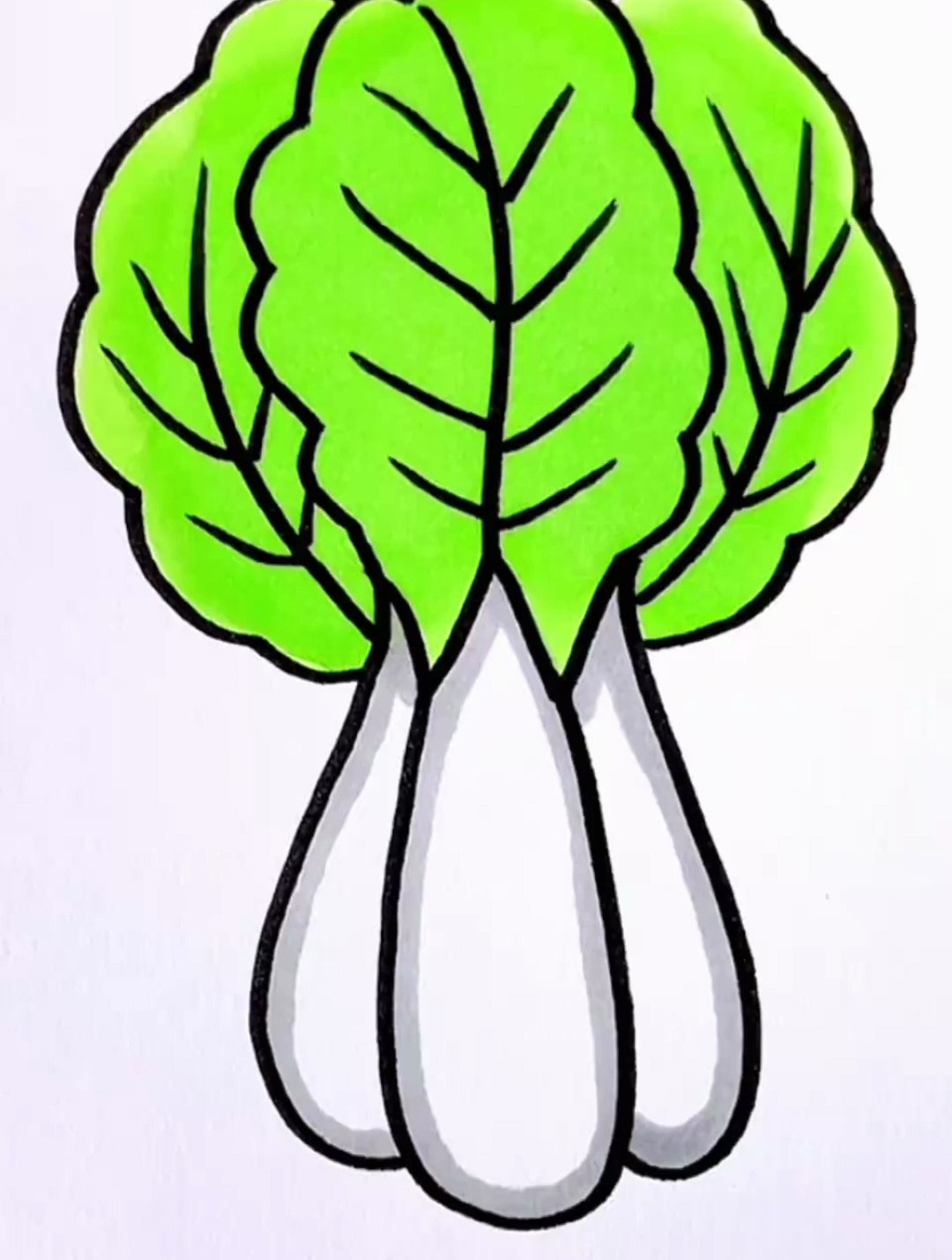 组队一起学画小白菜吧,简单又好看