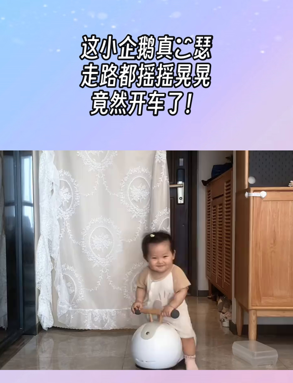 这小企鹅真嘚瑟,走路都摇摇晃晃,竟然开车了!