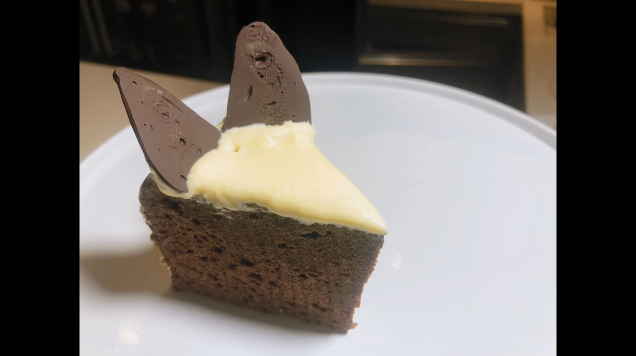 最爱的巧克力蛋糕 没有之一 奥地利国宝 - 沙哈蛋糕