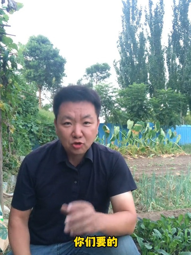 蔬菜栽培技术大全,不会种菜的可以学习一下植保蔬菜种植技术病