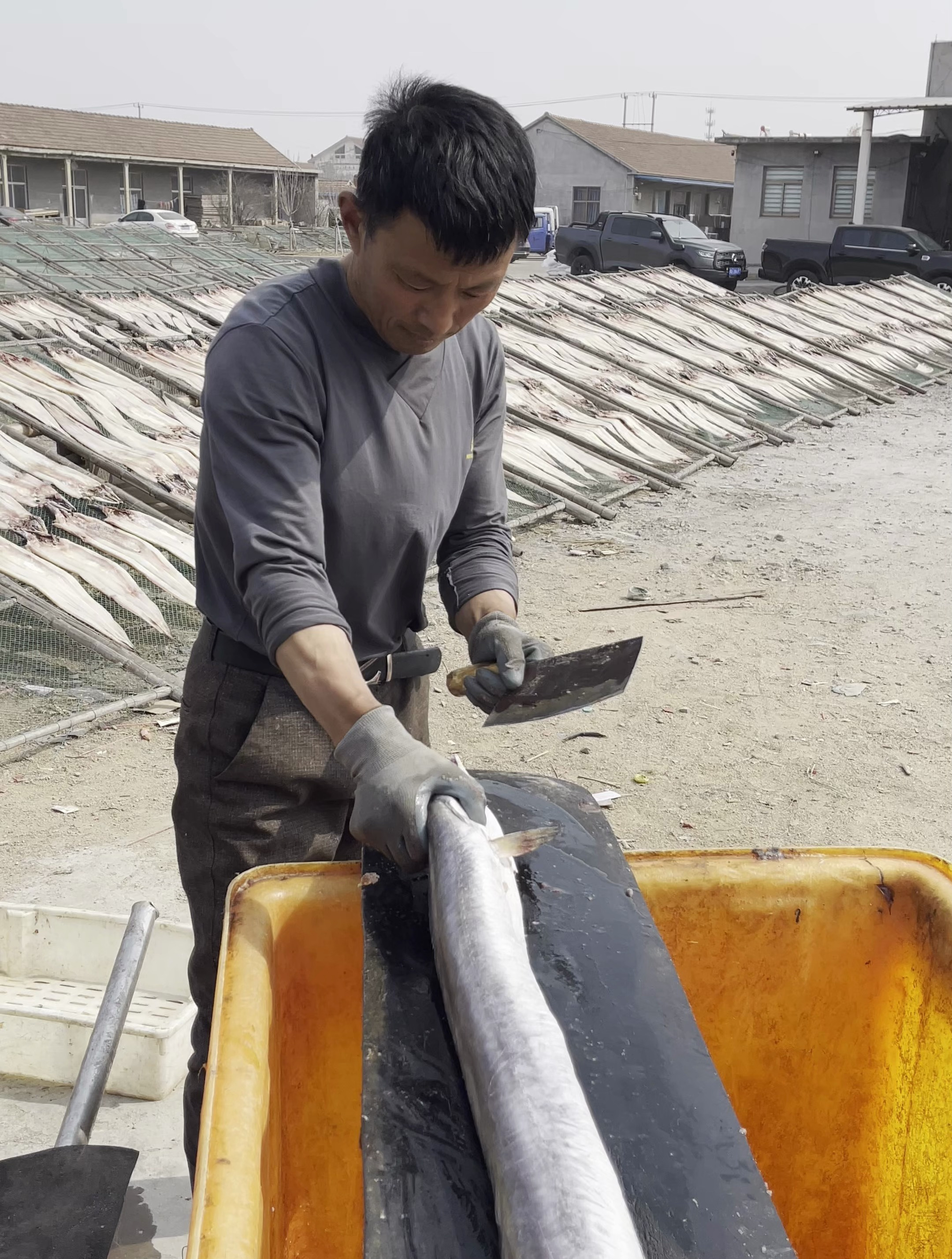 鳗鱼干你吃过嘛?日本人最爱吃的一种