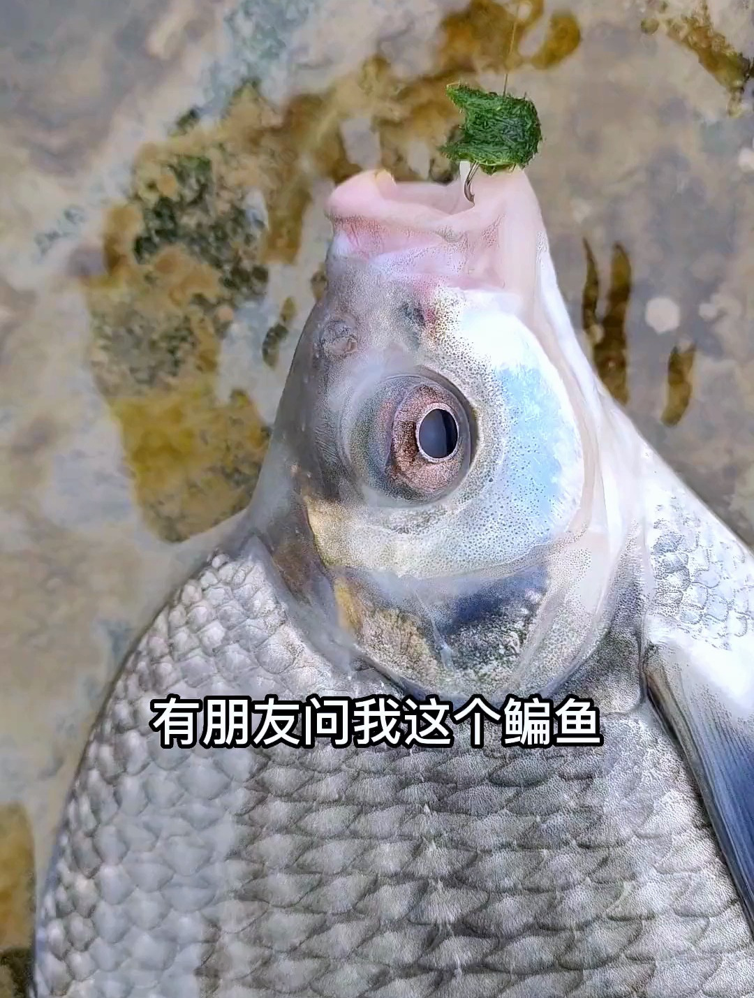心若有所向往,何惧道阻且长