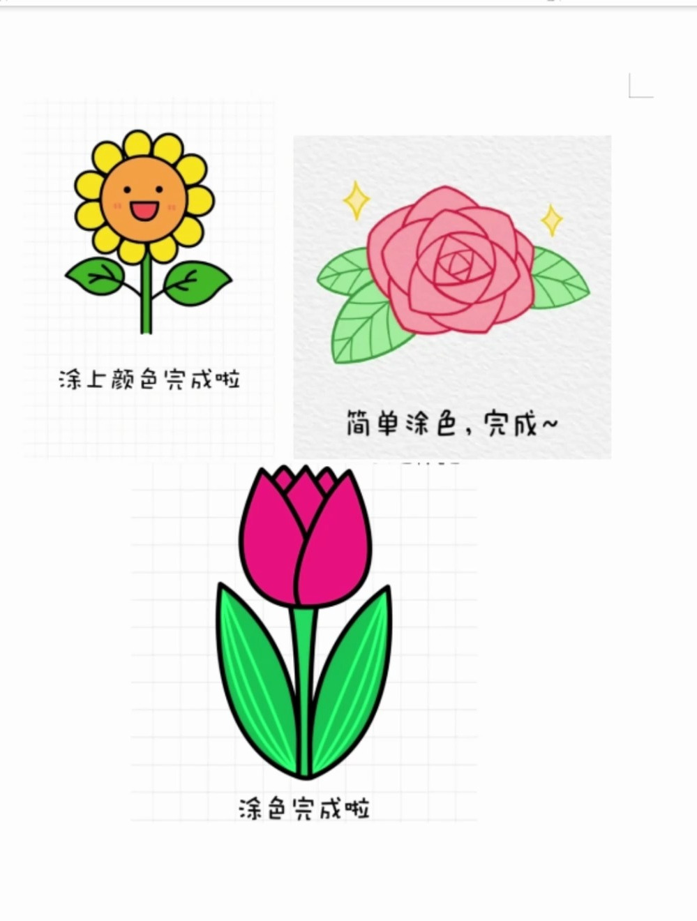 花朵的简笔画怎么画