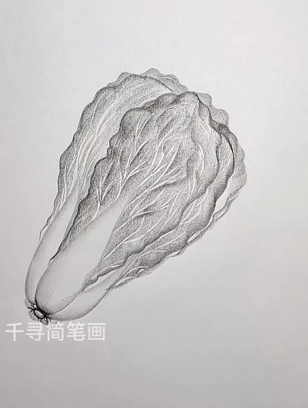 炭笔画 来,画白菜,寓意百财,喜欢绘画的零基础轻松画起来
