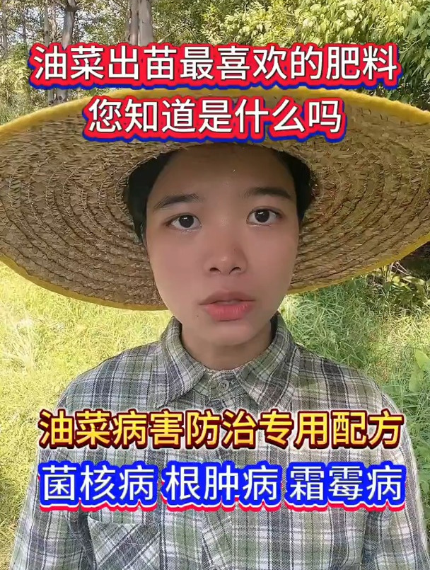 油菜出苗后病害防治,霜霉病 根肿病 菌核病根腐病等等