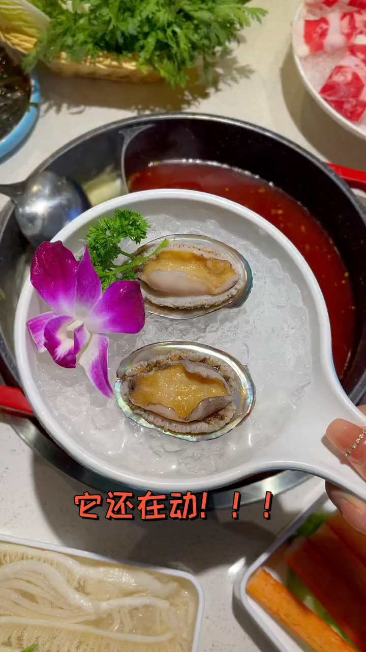 来尝试下花胶鸡港式火锅,118就能吃涮鲍鱼也是绝绝子!