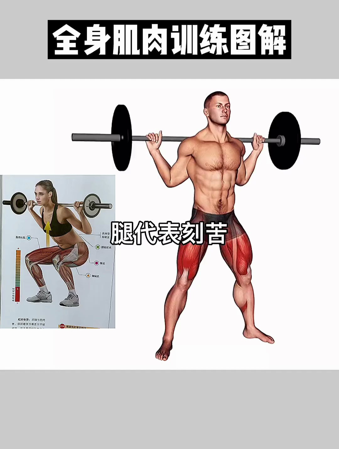 全身肌肉力量训练图解,全方位详细分解,不会练那就多看看这本书