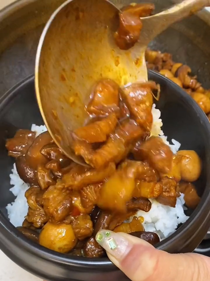肉汤拌上大米饭,胃口挡都挡不住,有手就能做,零失败!卤肉饭