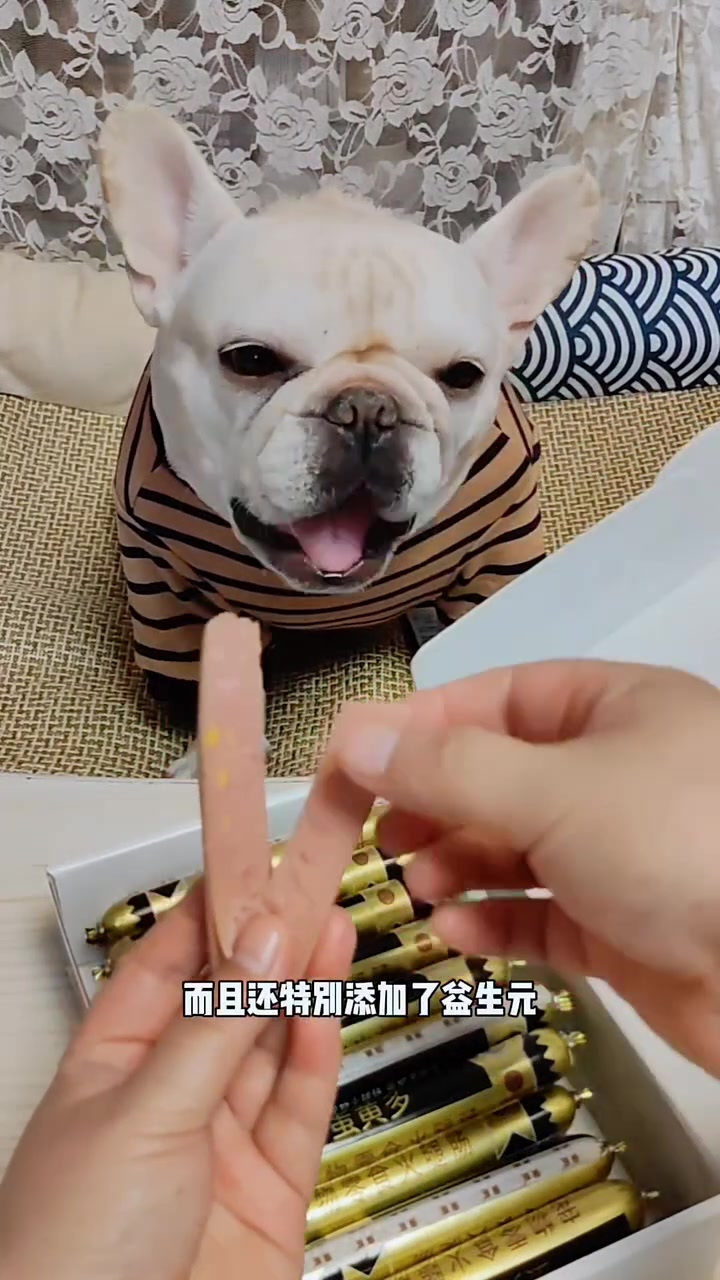 鲜肉蛋黄火腿肠,内含鸭肉,鸡肉,鸡肉丝,蛋黄粒,狗狗爱吃