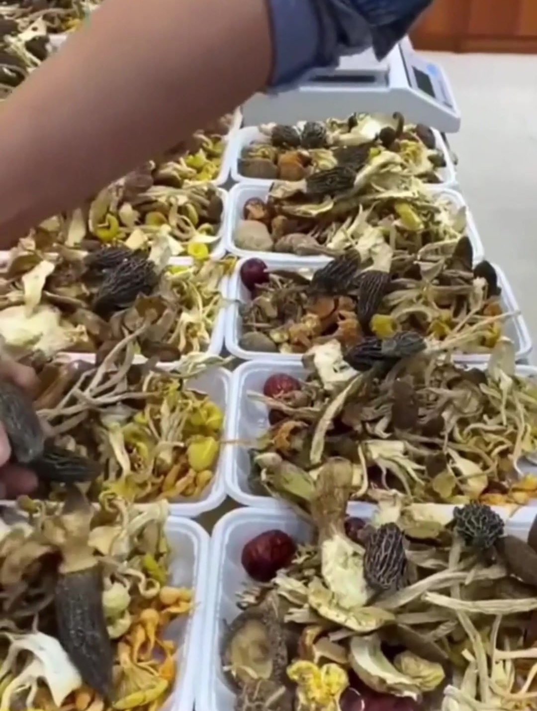 云南特产山珍菌汤包七彩菌汤包菌菇汤料包干货羊肚菌煲汤食材