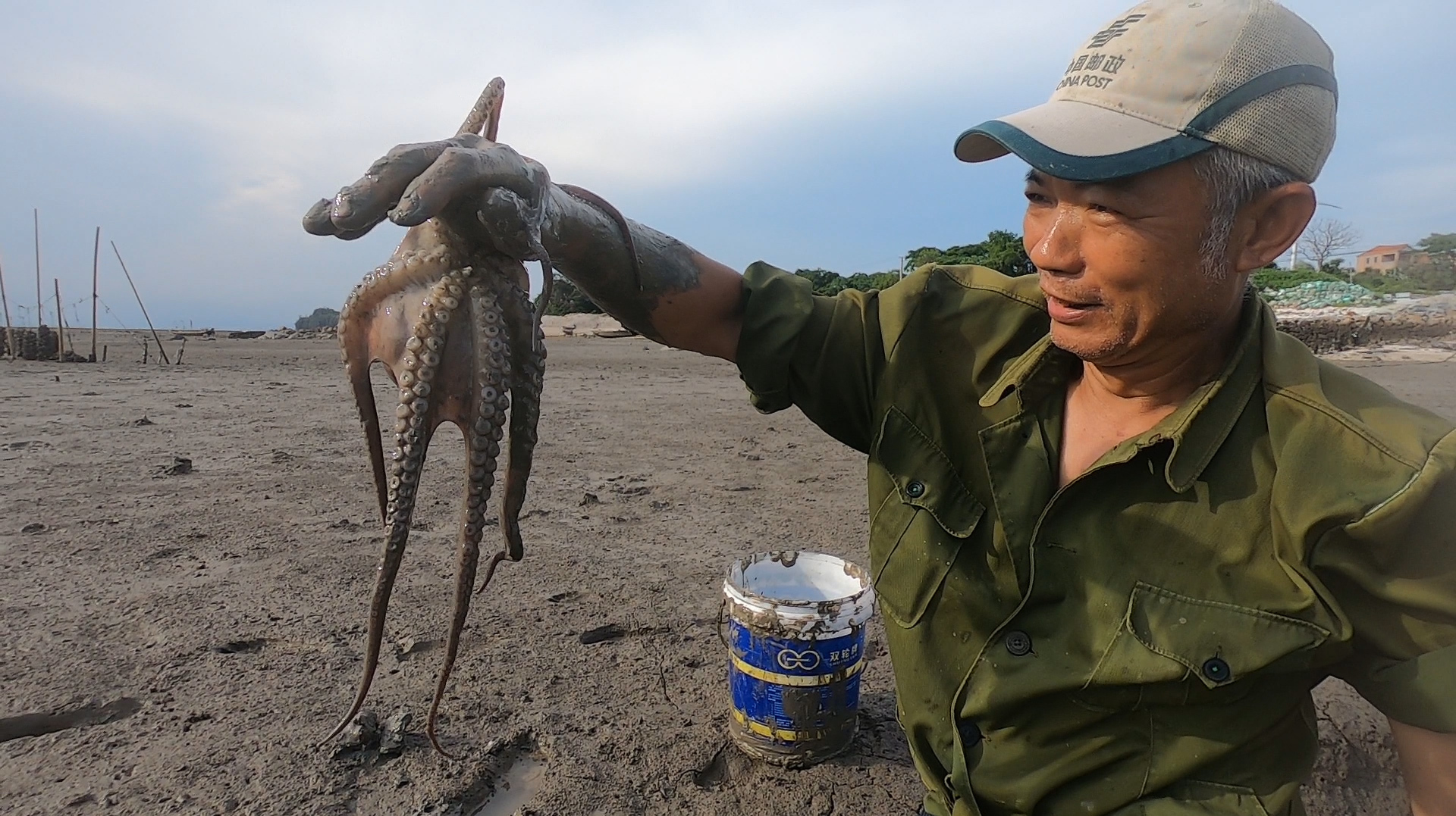 泰叔赶海意外挖出海章鱼,回家煮给泰婶吃,处理方法一般人不知道