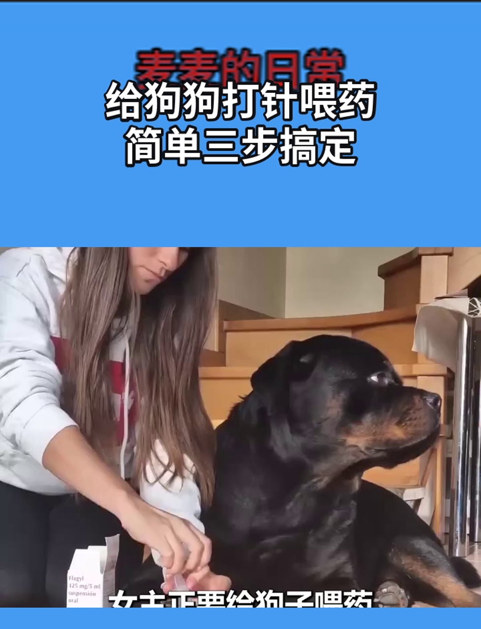 给狗狗打针喂药,简单三步搞定