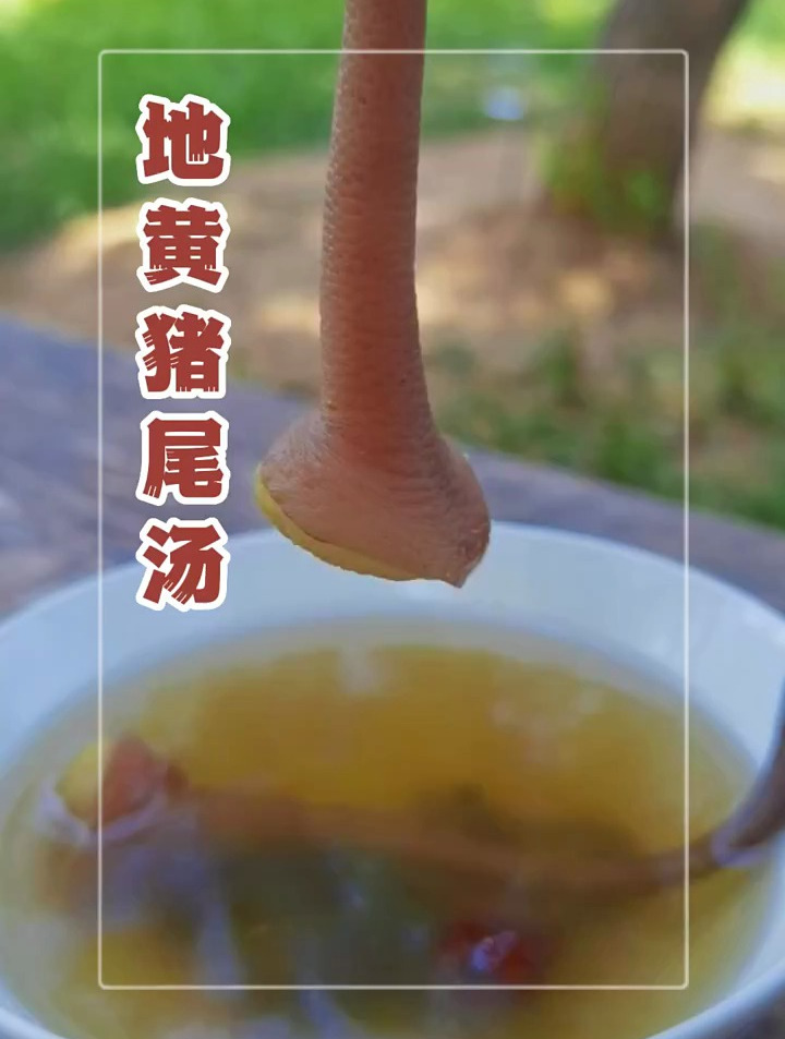 熟地黄猪尾汤,地黄猪尾汤
