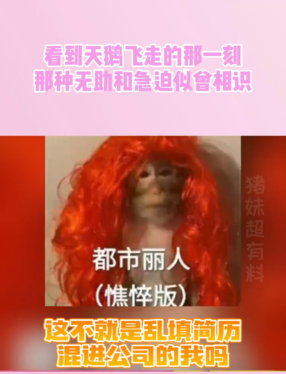 看到天鹅飞走的那一刻,那种无助和急迫似曾相识啊……