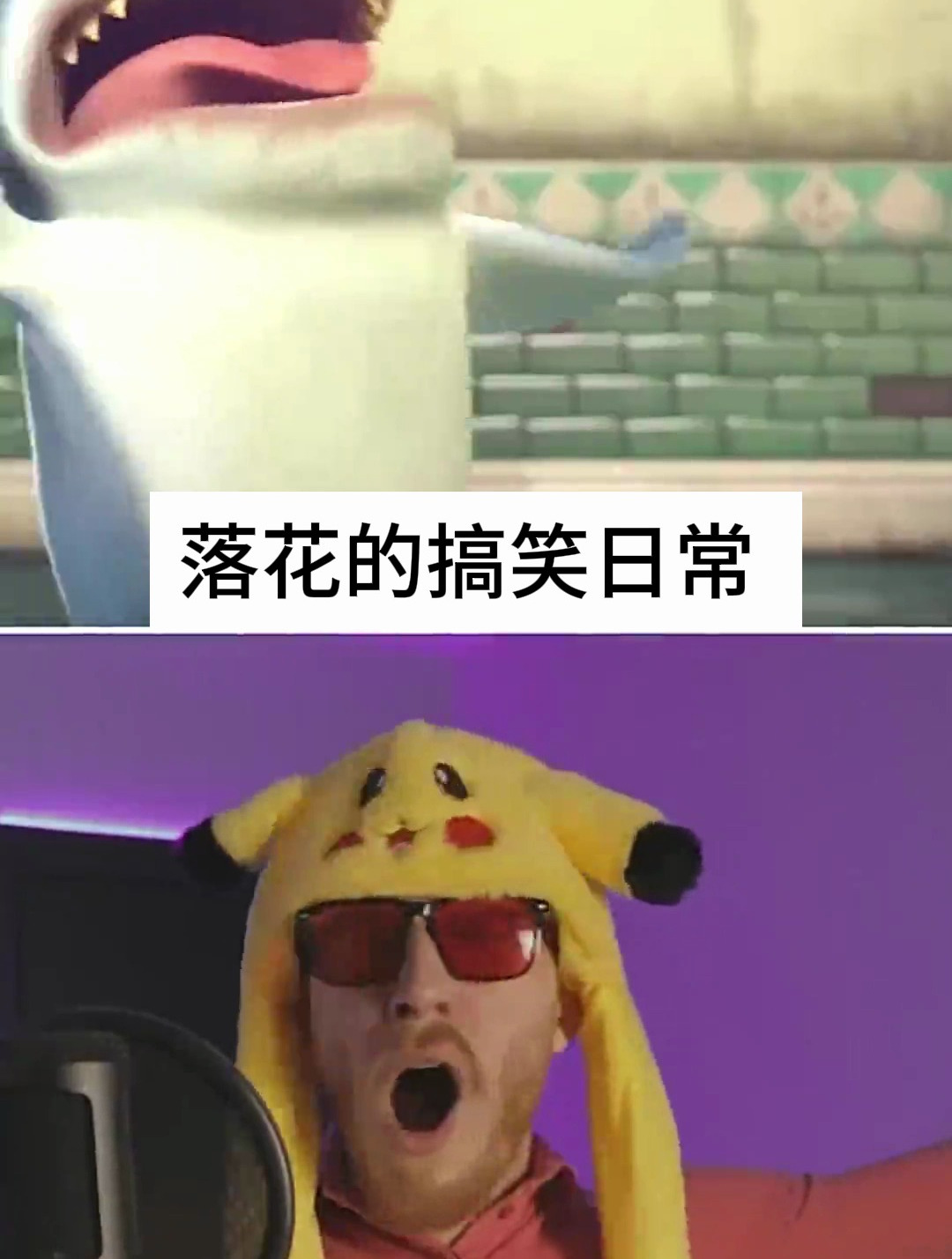 搞笑视频:鲨鱼起床