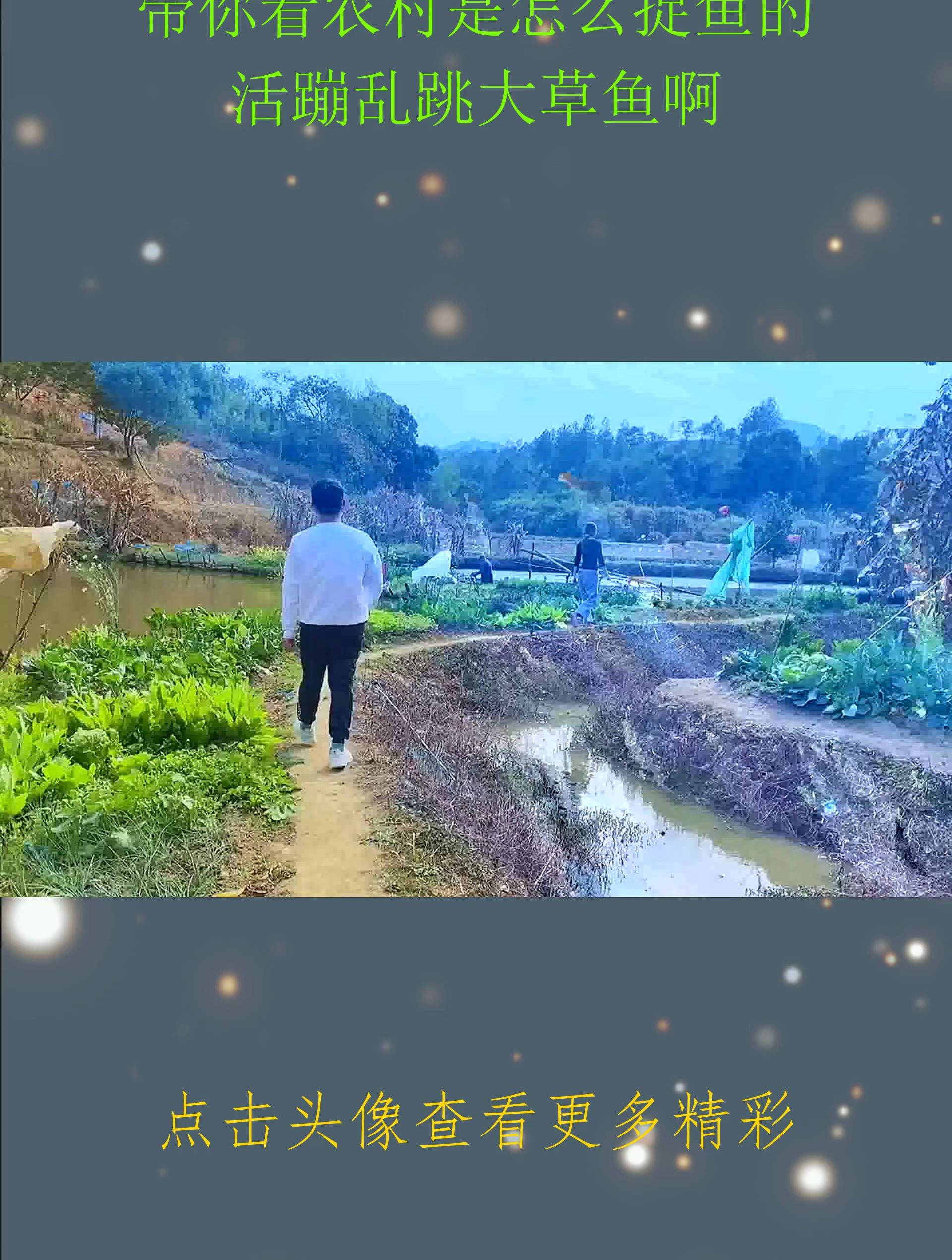 带你看农村是怎么捉鱼的,活蹦乱跳大草鱼啊