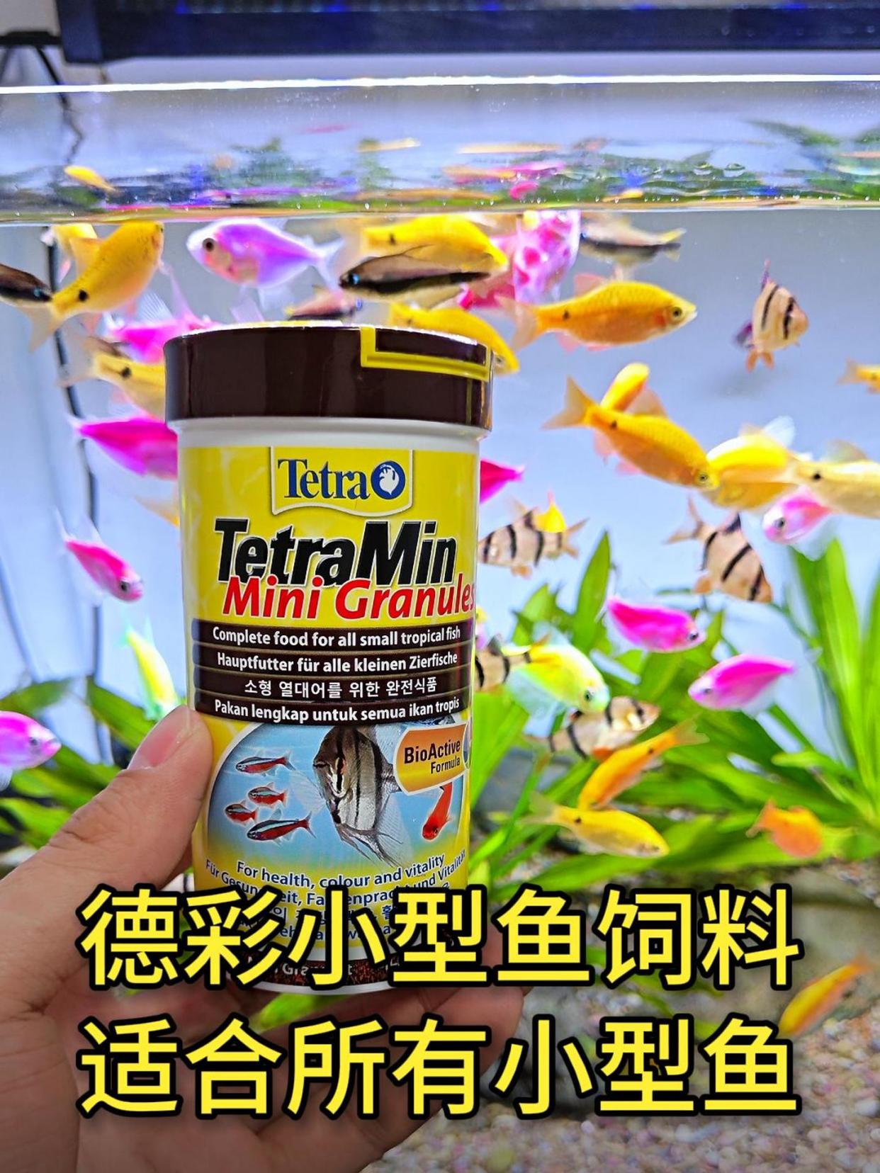 小型鱼粮中的天花板,适合所有类型的小型热带鱼,德彩热带鱼饲料