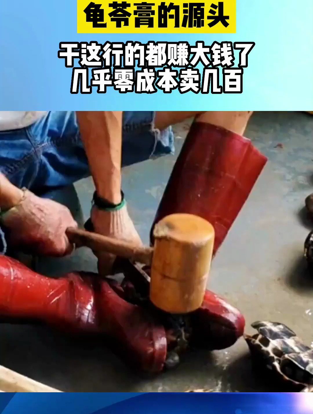 龟苓膏的源头,干这行的都赚大钱了,几乎零成本卖几百