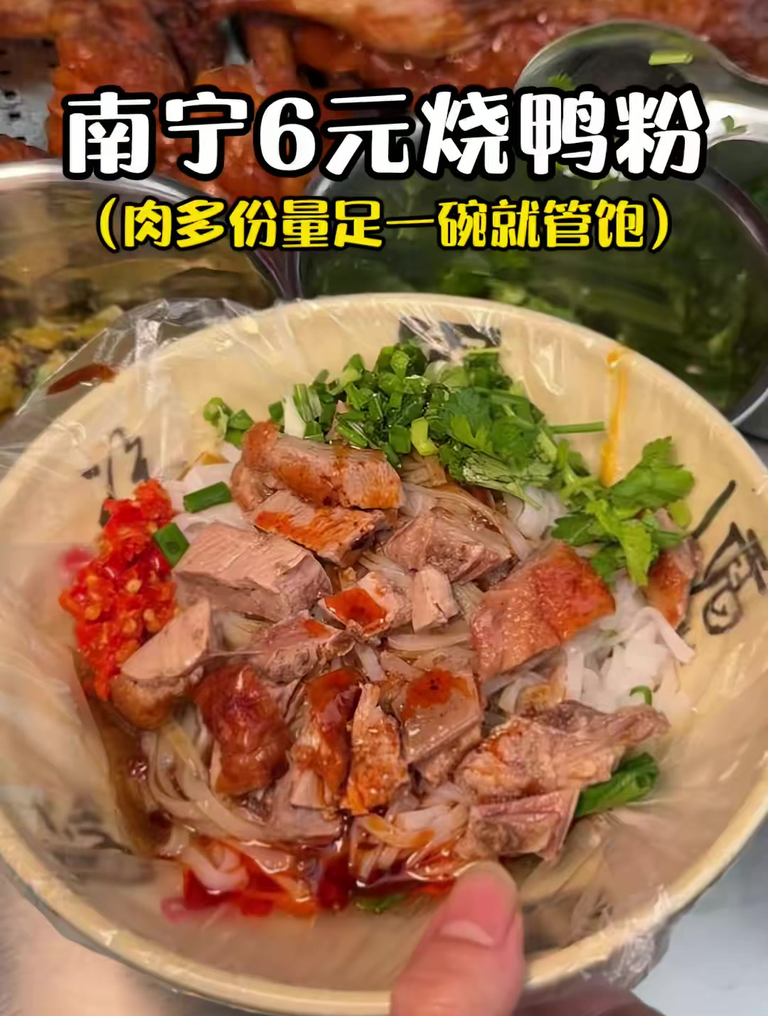 南宁街头6块一份的烧鸭粉!这物价真的太感人了!