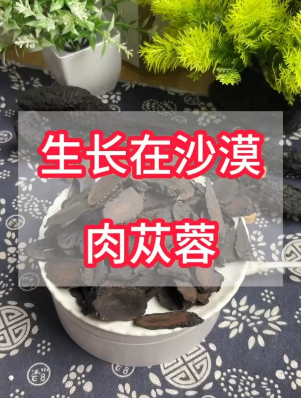 生长在沙漠的肉苁蓉,可以泡水煲汤
