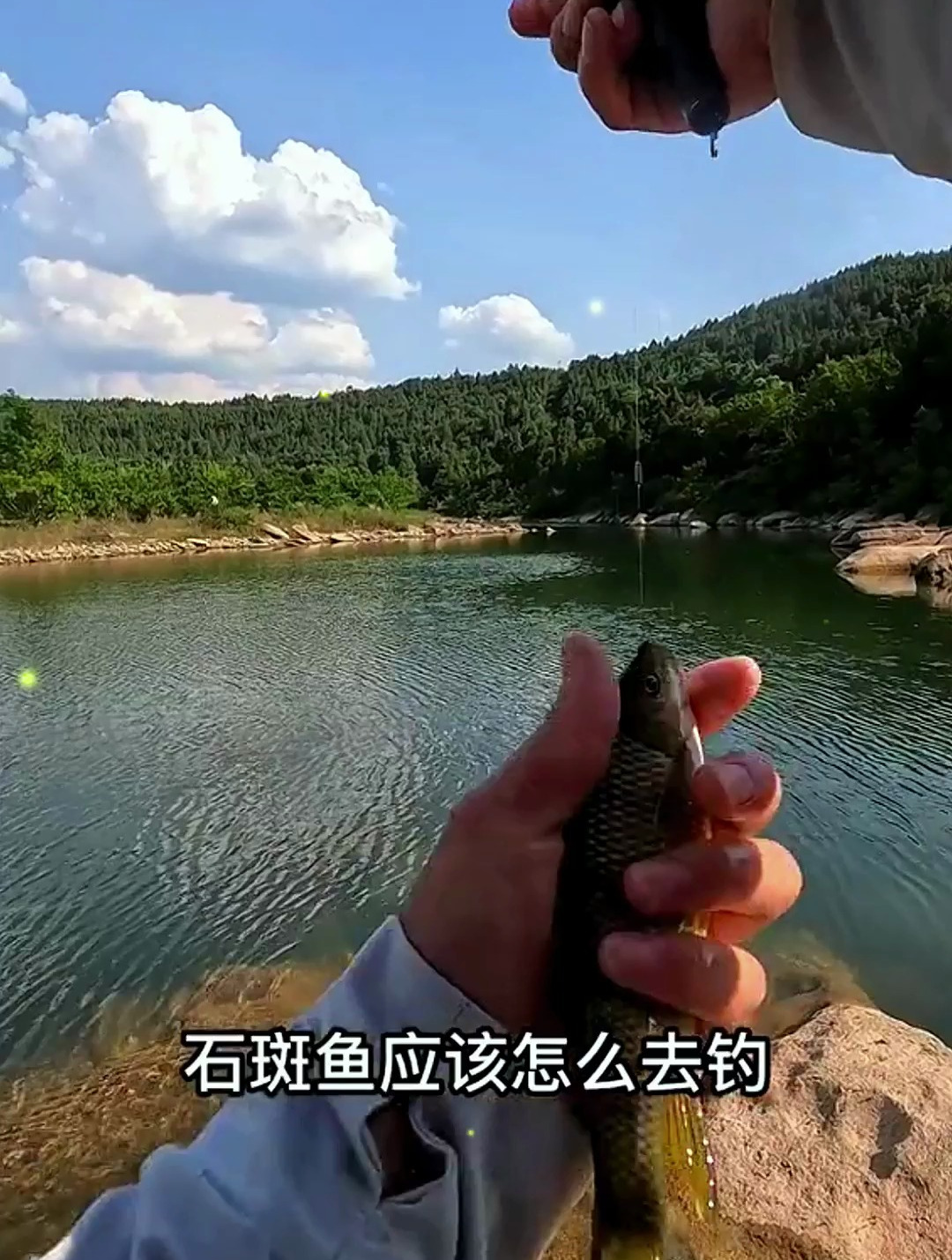 新手不会钓“石斑鱼”?老钓友一天钓几斤,只因注意到这“三点”