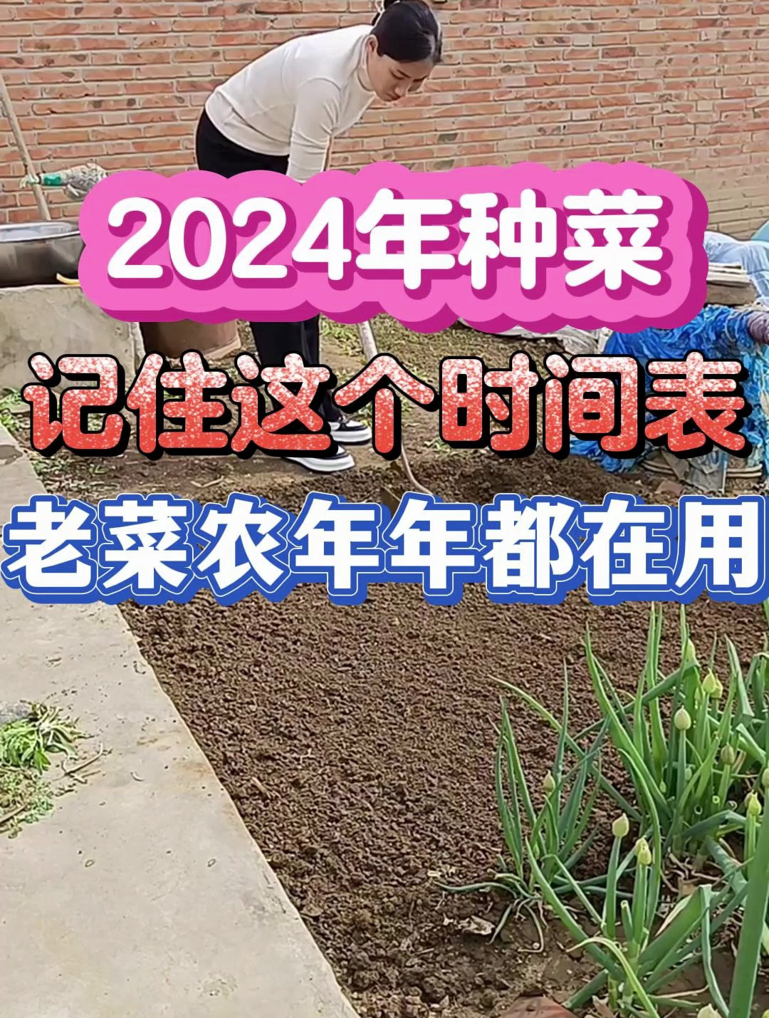 2024年种菜时间表老菜农年年都在用