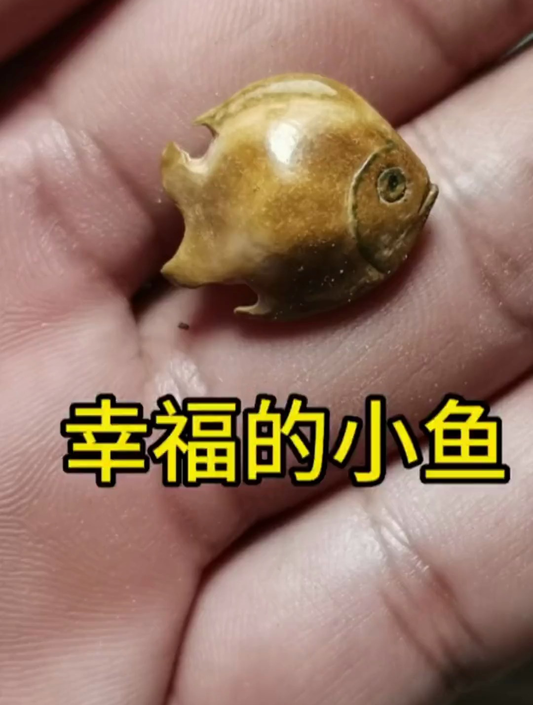 杏核雕刻教程随形小鱼