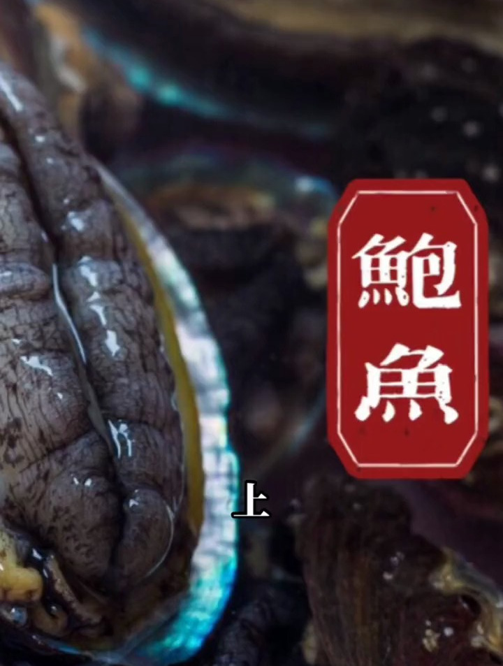 平常吃的鲍鱼还有这些好处