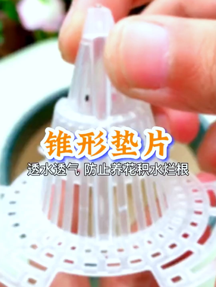 锥形花盆垫片比普通的垫片好用,排水速度快能防止植物积水烂根!