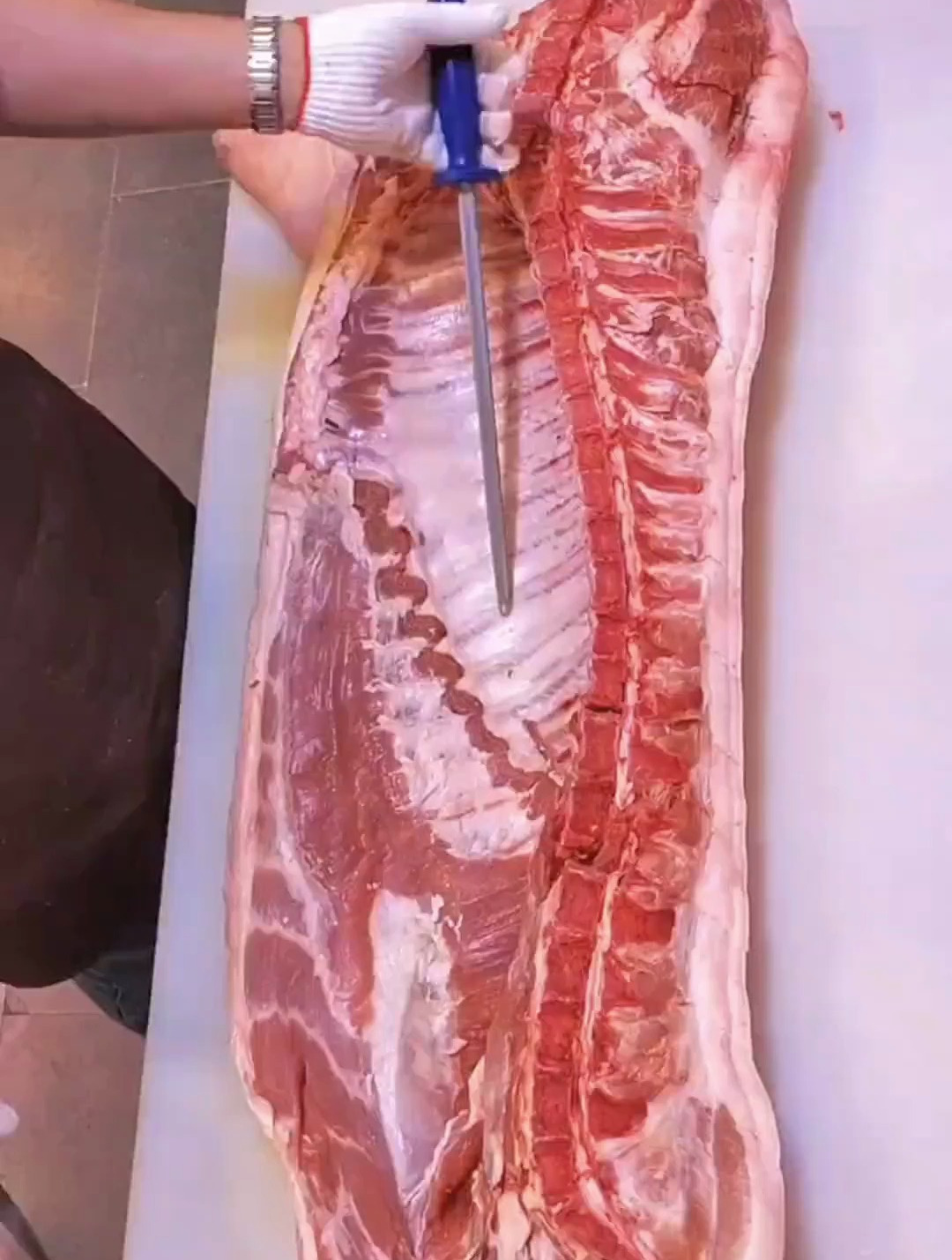 猪肉分割 边开边讲 猪肉分割技巧 怎样分割猪肉 猪肉分割技巧