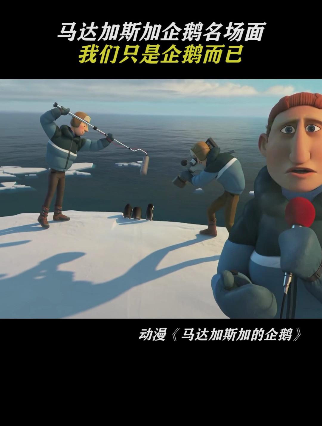 马达加斯加的企鹅:马达加斯加企鹅名场面