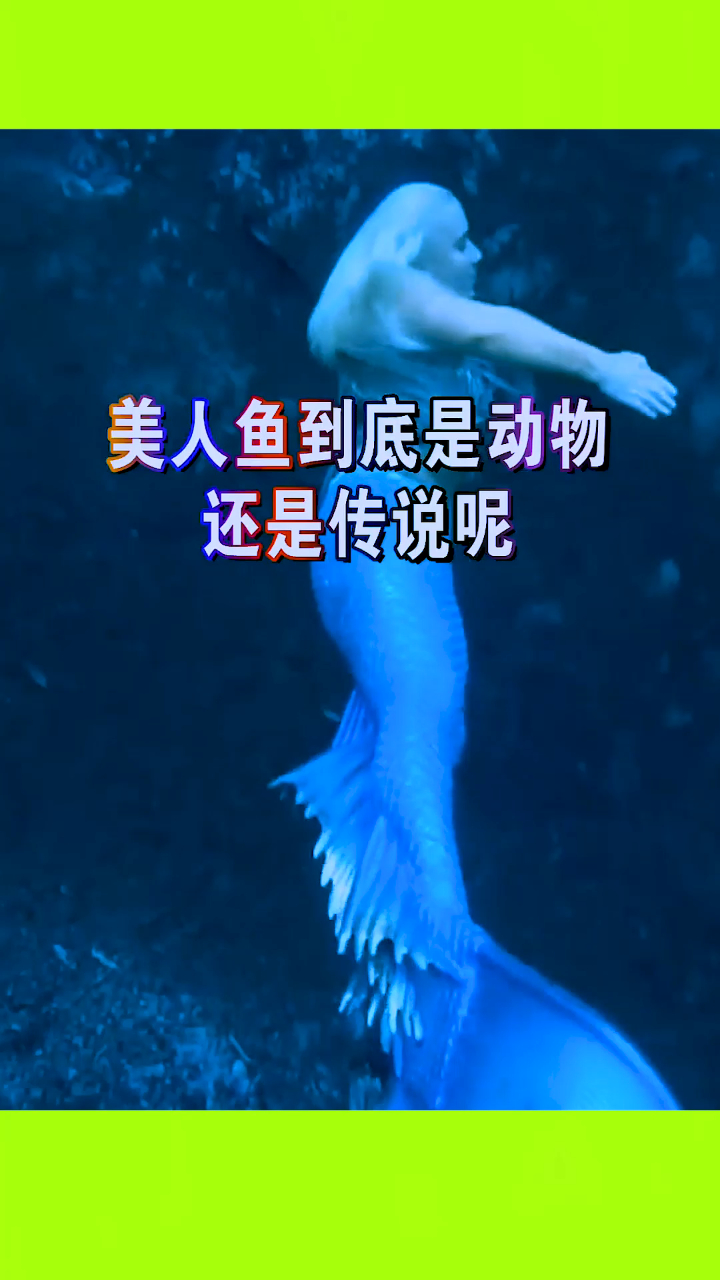 美人鱼到底是动物,还是传说呢?