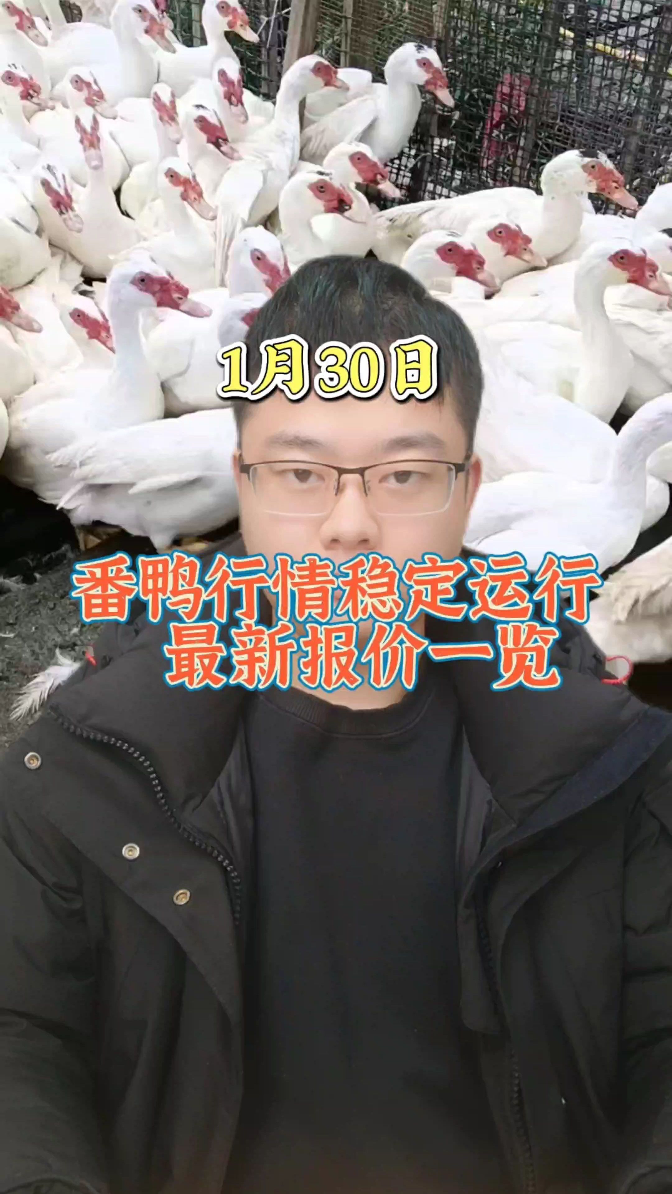 番鸭价格最新行情 番鸭价格表 番鸭价格 番鸭价格趋势