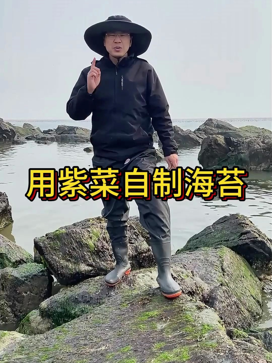 海里大片紫菜没人采,做成海苔太香了