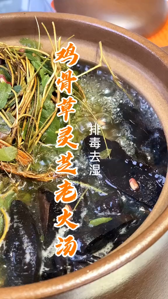 鸡骨草灵芝,搭配肉类,帮你的身体细胞美美的洗个澡