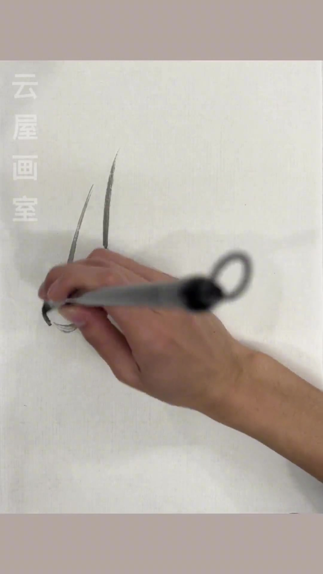 白菜-百财 每日一画 水墨写意 国画 云屋画室 国画教程 2