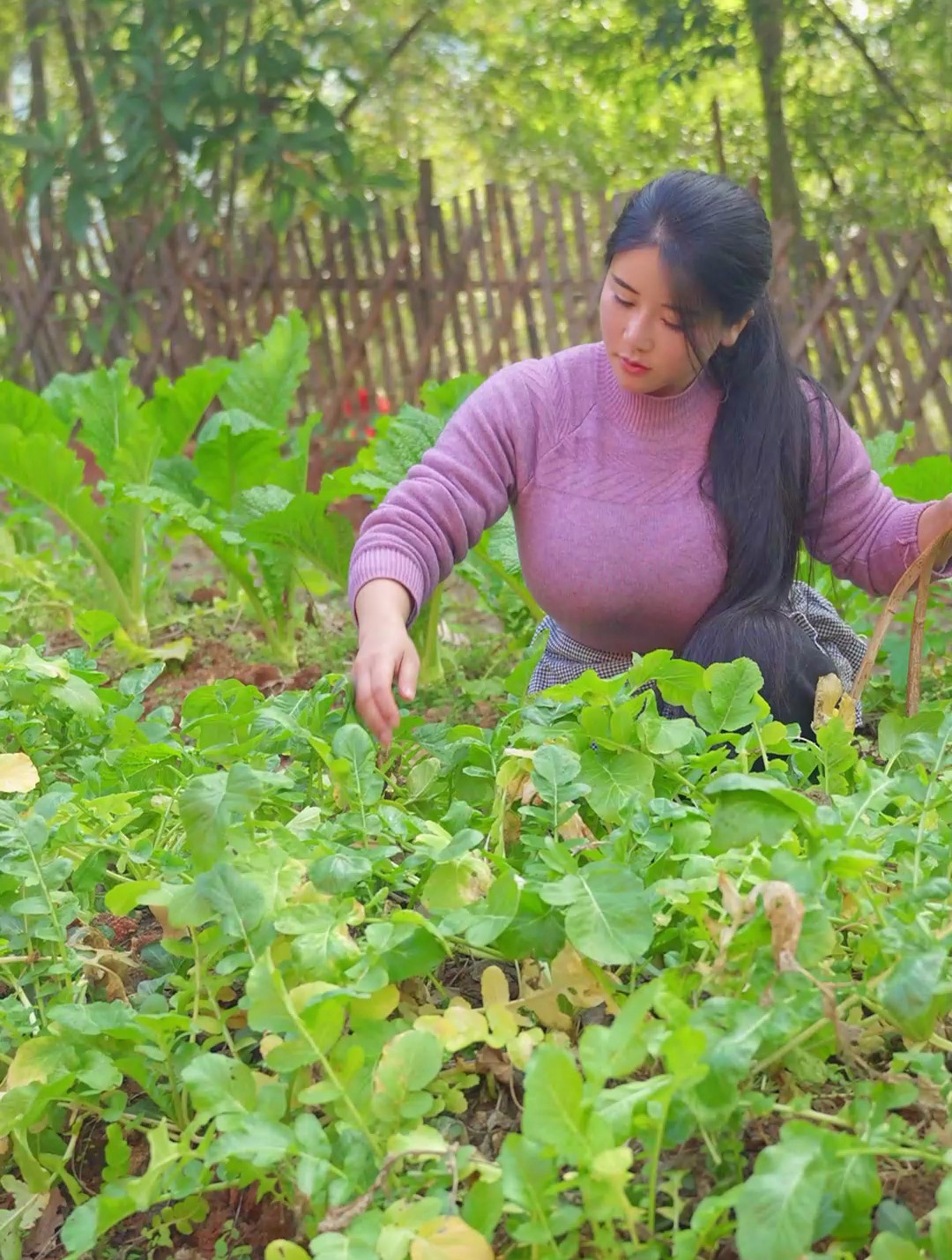 每年这个时候家家户户门口都晒着腊肉,所以大家的腊肉晒好了吗?